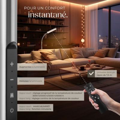 Lampadaire 5 modes d'éclairage LED 12 W argent