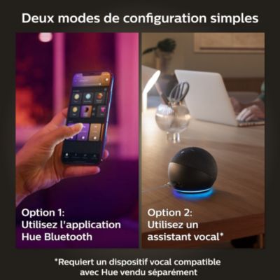 Lampe à poser dimmable 570 lm IP20 8,1 W Philips Hue blanc