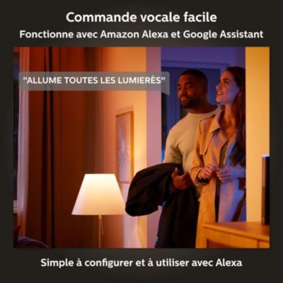Lampe à poser dimmable 570 lm IP20 8,1 W Philips Hue blanc