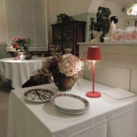 Lampe Rechargeable Pro EMMA  Stable Sans Fil Extérieur Design