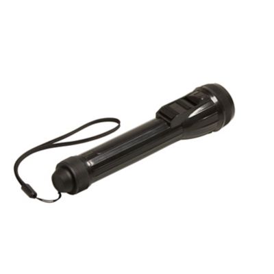 Lampe torche LED 27 lumens Diall noir