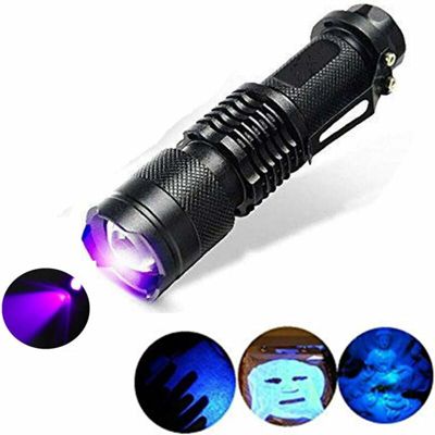 Lampe torche UV mode 300LM zoomable 395nm en mode ultraviolet à 395nm pour la détection de taches de chien vérification