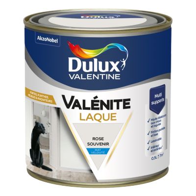Laque acrylique Valénite Dulux Valentine rose souvenir mat velouté 500ml