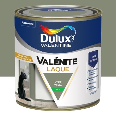 Laque acrylique Valénite Dulux Valentine vert taiga satin 500ml