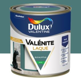 Laque Valénite Dulux Valentine Acrylique satin vert eucalyptus 500ml