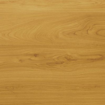 Lasure bois extérieur conditions extrêmes GoodHome chêne clair 750ml