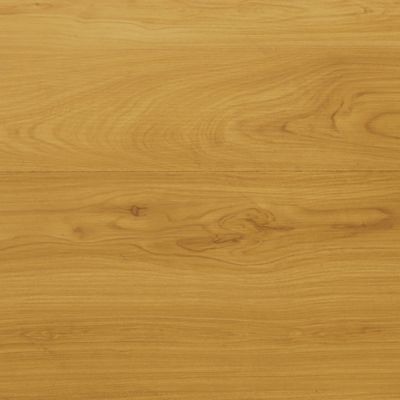 Lasure bois extérieur GoodHome satin chêne clair 125ml
