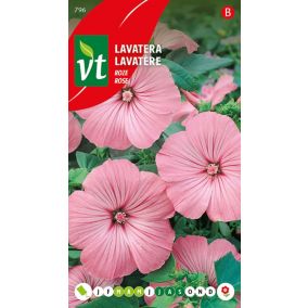 Lavatere Rose - Ca. 0,75 gr   Graines de fleurs