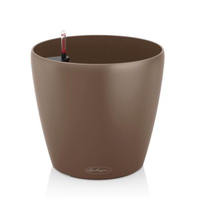 Lechuza Classico Color 21 - kit complet, muscade D. 21 x 20