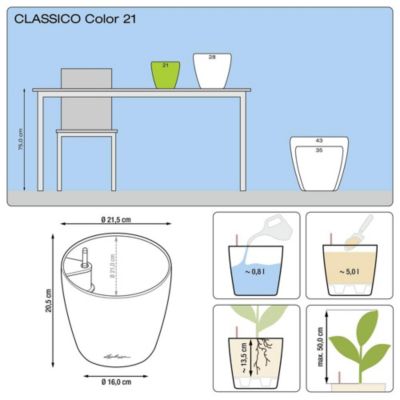 Lechuza Classico Color 21 - kit complet, muscade D. 21 x 20