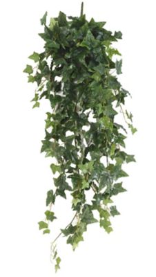 Lierre anglais chute artificiel h.120 cm
