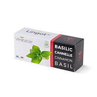 Lingot® Basilic cannelle Bio pour potager Véritable®