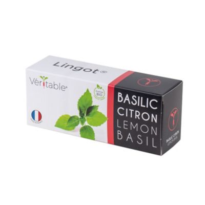 Lingot® Basilic citron Bio pour potager Véritable®