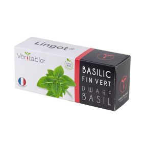 Lingot® Basilic fin vert Bio pour potager Véritable®