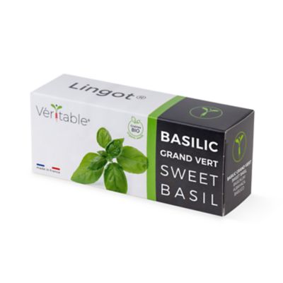 lingot-basilic-grand-vert-bio-pour-potager-v-ritable-castorama