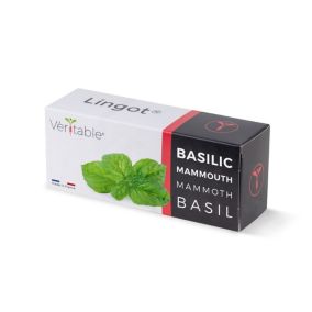 Lingot® Basilic mammouth pour potager Véritable®