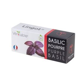 Lingot® Basilic pourpre Bio pour potager Véritable®