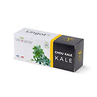 Lingot® Chou kale Bio pour potager Véritable®