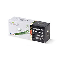 Lingot® Ciboulette chinoise Bio pour potager Véritable®