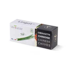 Lingot® Ciboulette chinoise pour potager Véritable®