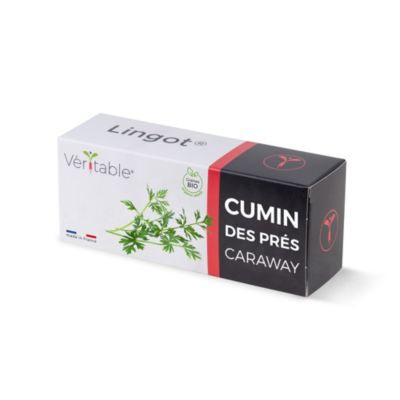 Lingot® Cumin des prés pour potager Véritable®