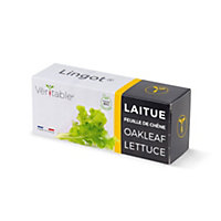 Lingot® Laitue feuille de chêne Bio pour potager Véritable®