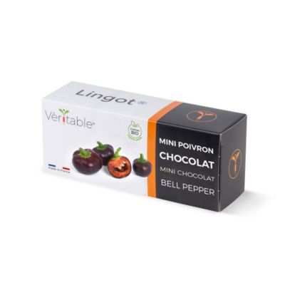 Lingot® Mini poivron chocolat Bio pour potager Véritable®