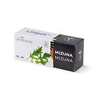 Lingot® Mizuna Bio pour potager Véritable®