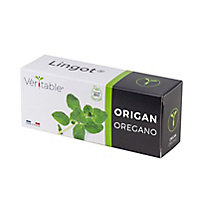 Lingot® Origan Bio pour potager Véritable®