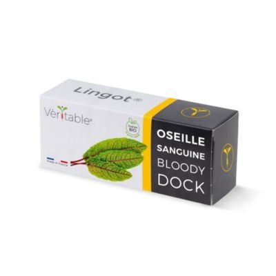 Lingot® Oseille sanguine Bio pour potager Véritable®