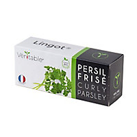 Lingot® Persil frisé Bio pour potager Véritable®