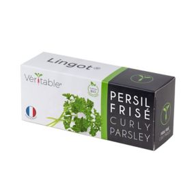 Lingot® Persil frisé Bio pour potager Véritable®
