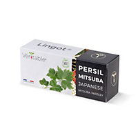 Lingot® Persil japonais mitsuba pour potager Véritable®