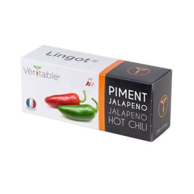 Lingot® Piment Jalapeno pour potager Véritable®
