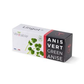 Lingot® pour potager d'intérieur Véritable® variété "Anis Vert bio" plantation toute l'année