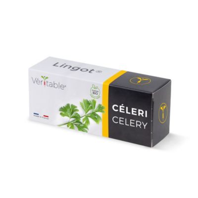 Lingot® pour potager d'intérieur Véritable® variété "Céleri bio" plantation toute l'année
