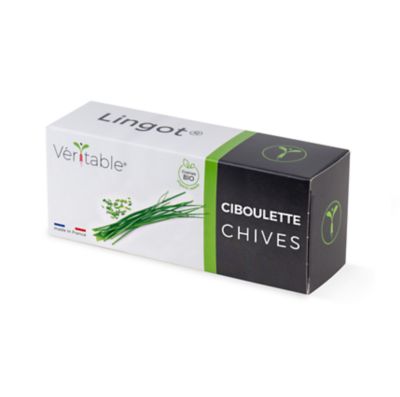 Lingot® pour potager d'intérieur Véritable® variété "Ciboulette Chive bio" plantation toute l'année