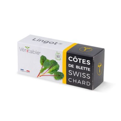 Lingot® pour potager d'intérieur Véritable® variété "Côtes de blette bio" plantation toute l'année
