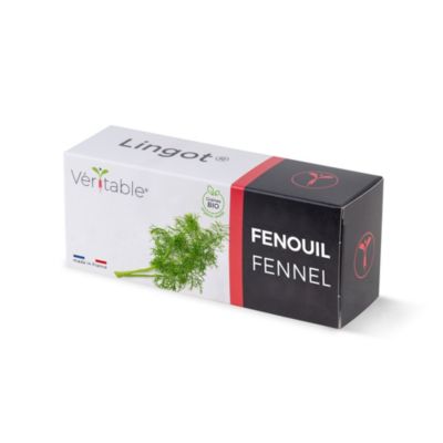 Lingot® pour potager d'intérieur Véritable® variété "Fenouil bio" plantation toute l'année