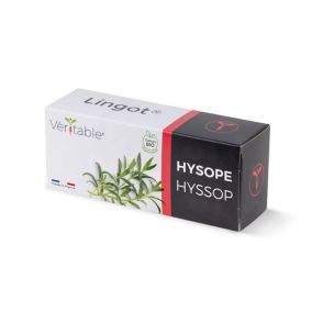 Lingot® pour potager d'intérieur Véritable® variété "Hysope bio" plantation toute l'année