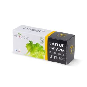 Lingot® pour potager d'intérieur Véritable® variété "Laitue batavia bio" plantation toute l'année