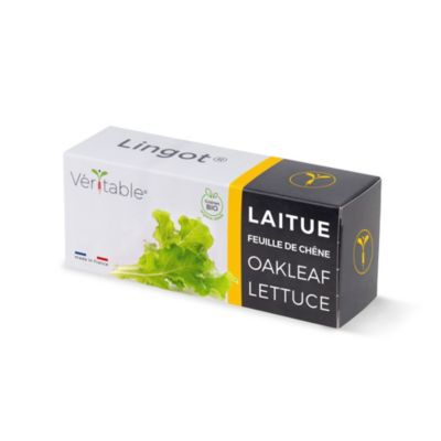 Lingot® pour potager d'intérieur Véritable® variété "Laitue feuille de chêne bio" plantation toute l'année