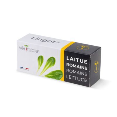 Lingot® pour potager d'intérieur Véritable® variété "Laitue romaine" plantation toute l'année