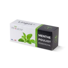 Lingot® pour potager d'intérieur Véritable® variété "Menthe Poulliot" plantation toute l'année