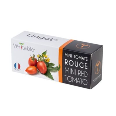Lingot® pour potager d'intérieur Véritable® variété "Mini tomate rouge" plantation toute l'année