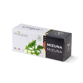Lingot® pour potager d'intérieur Véritable® variété "Mizun bio" plantation toute l'année