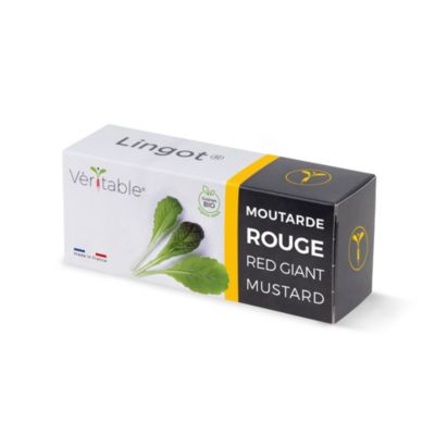 Lingot® pour potager d'intérieur Véritable® variété "Moutarde rouge bio" plantation toute l'année