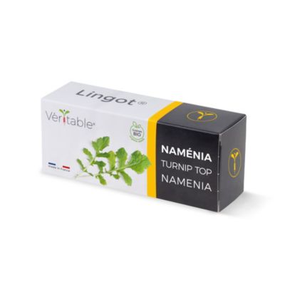 Lingot® pour potager d'intérieur Véritable® variété "Naménia bio" plantation toute l'année