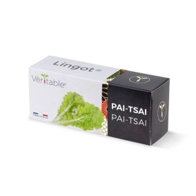 Lingot® pour potager d'intérieur Véritable® variété "Pai-Tsai" plantation toute l'année