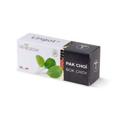 Lingot® pour potager d'intérieur Véritable® variété "Pak choï bio" plantation toute l'année